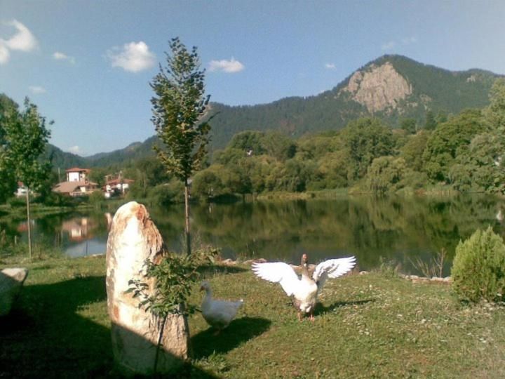 Отель Ribkata Family Hotel Смолян-27